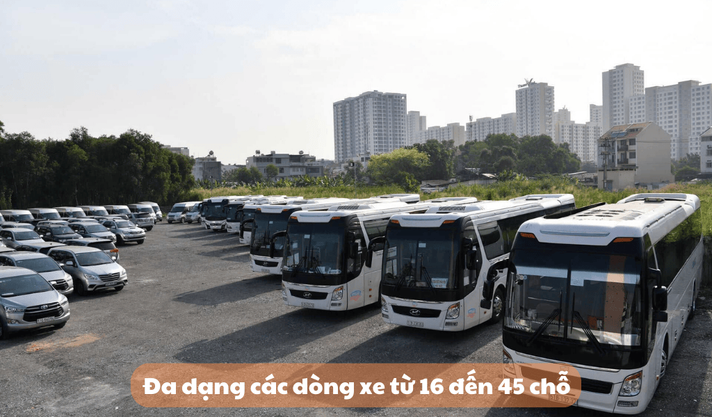 Đa dạng các dòng xe cho thuê xe 6,29,35,45 chỗ Hà Nội đi biển Tiên Trang Thanh Hóa