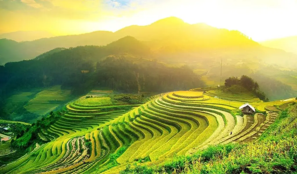 Mộc Châu hoa nở bốn mùa đồi chè xanh ẩm thực ngon khó quên