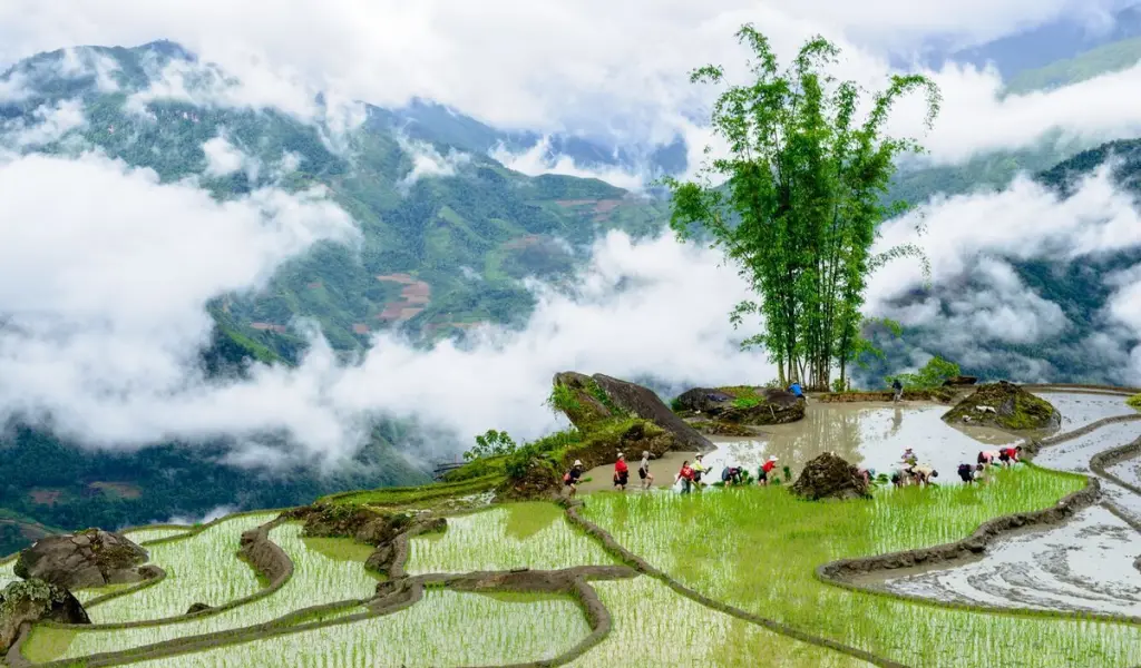 Y Tý mây vờn núi ruộng bậc thang hoang sơ cuốn hút mọi ánh nhìn
