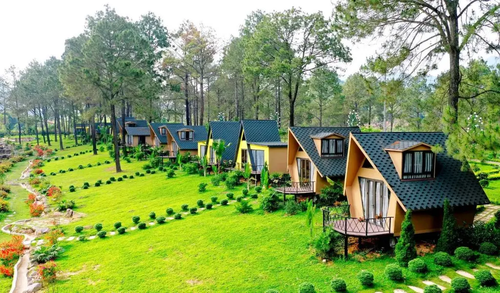Rừng Thông Bản Áng thơ mộng hồ trong veo giữa rừng xanh mát mẻ