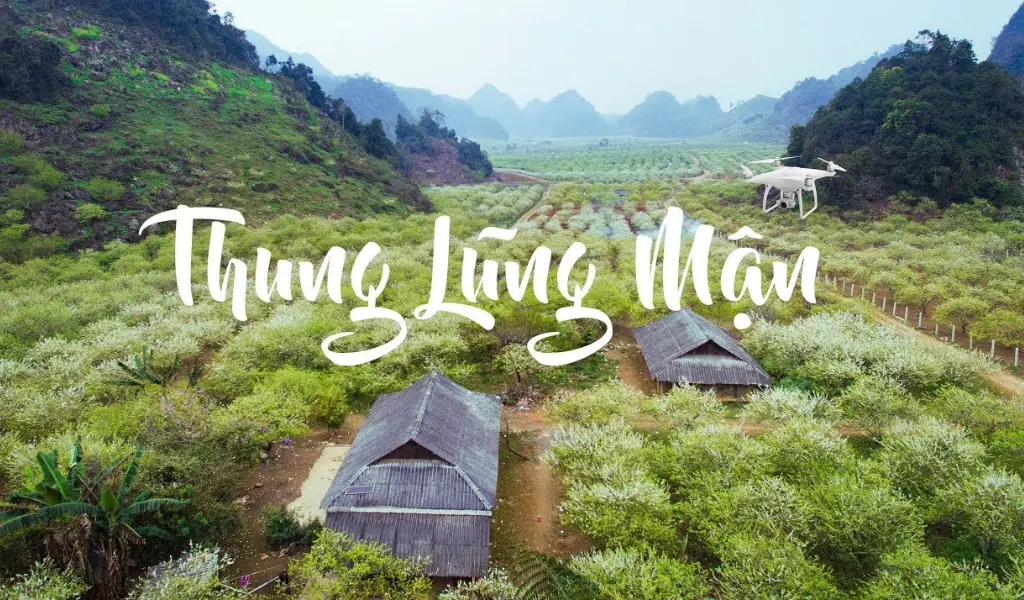 Top 7 địa điểm ngắm hoa mận Tây Bắc đẹp tại Mộc Châu cực thơ mộng