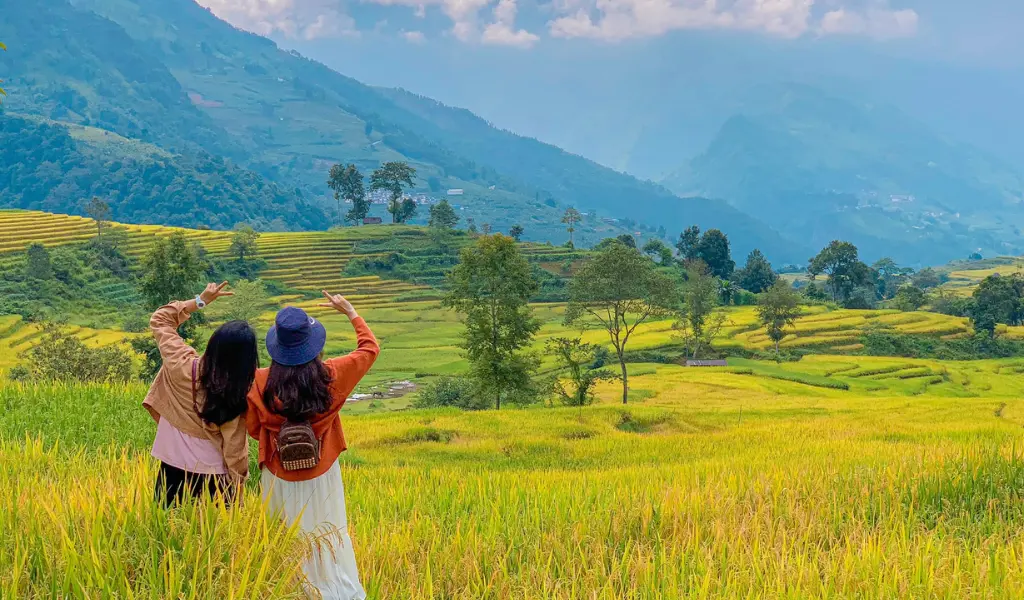 Y Tý mùa lúa chín mang đến cảnh sắc vàng rực từ cuối tháng 9 đến đầu tháng 10