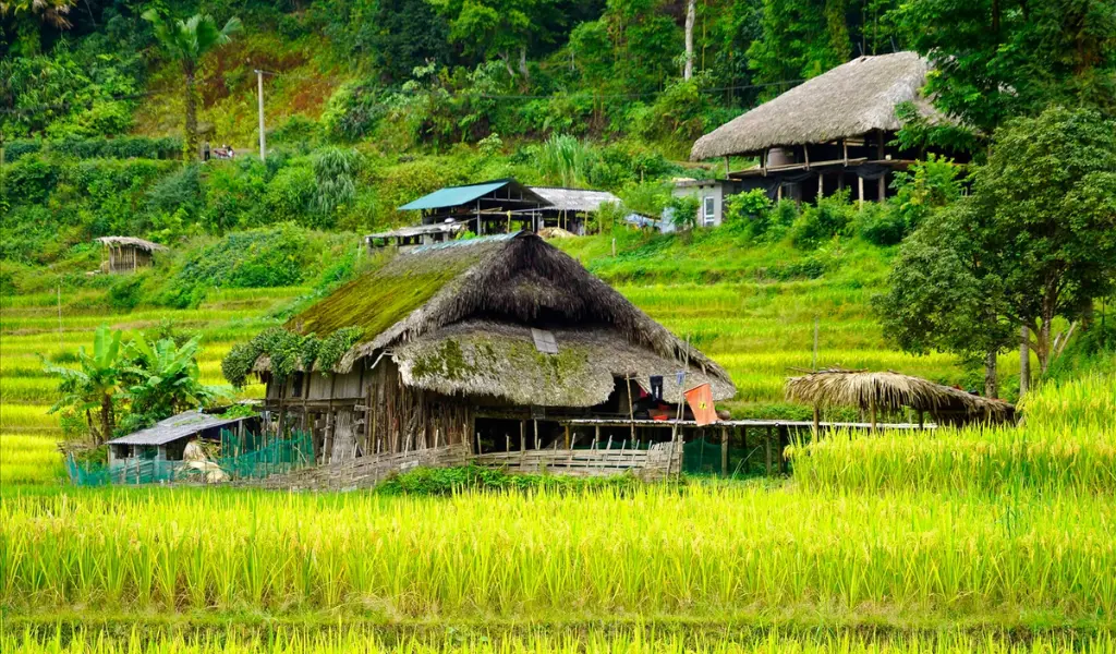 Bản Dốc và Làng Sủng Là là địa điểm chụp ảnh lý tưởng mùa lúa chín