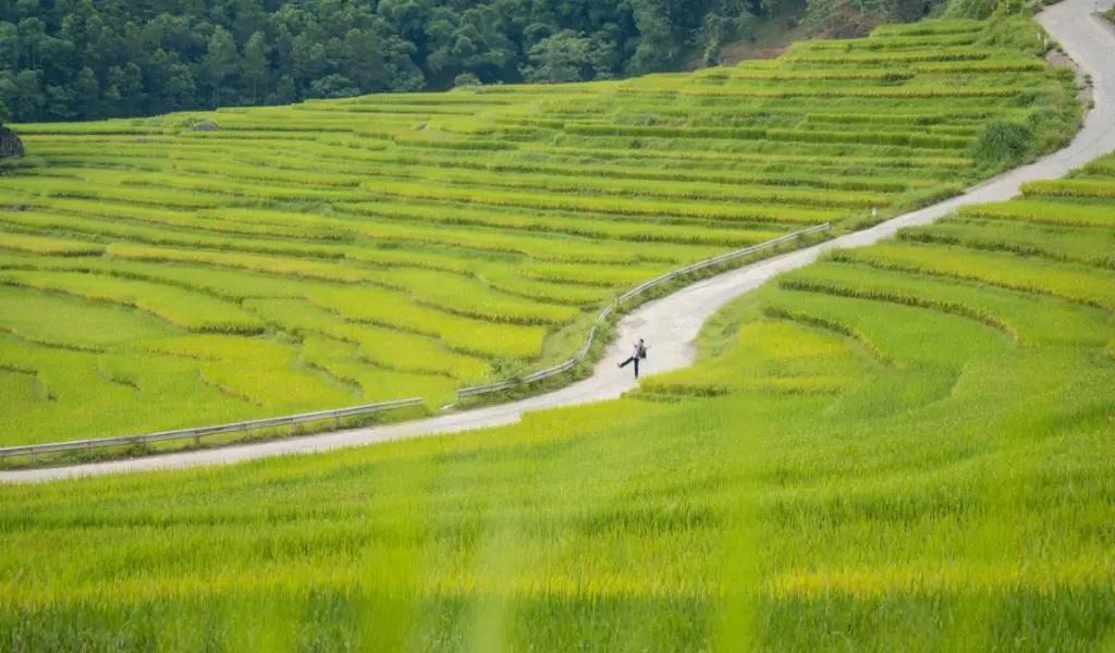 Pù Luông yên bình với ruộng bậc thang và bản làng người Thái