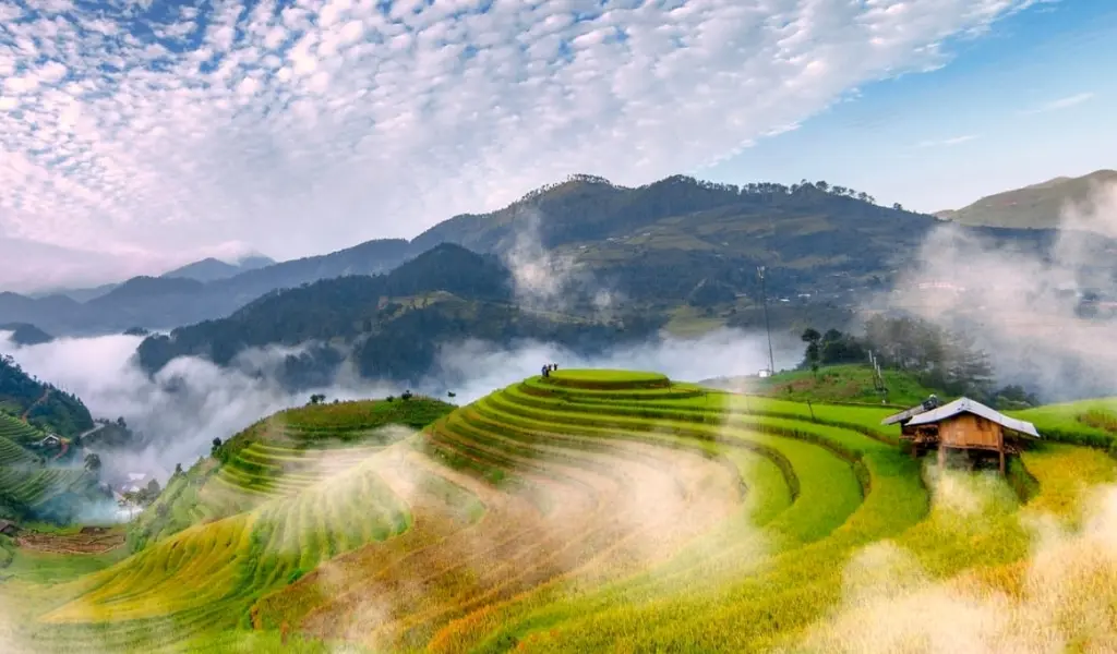 Mù Cang Chải mùa lúa chín vàng óng bên đèo Khau Phạ hùng vĩ