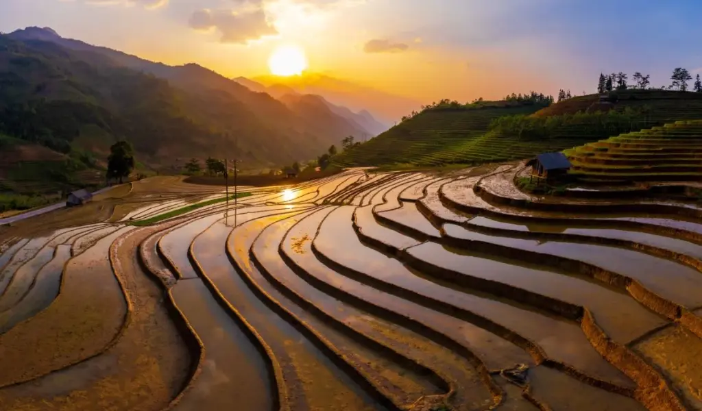 Khoảnh khắc bình minh phản chiếu trên ruộng nước bậc thang Tây Bắc
