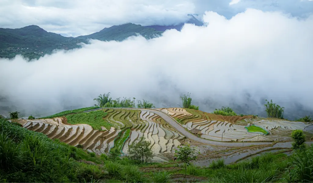 Ruộng bậc thang Y Tý rộng mở trong sương mù mùa nước đổ