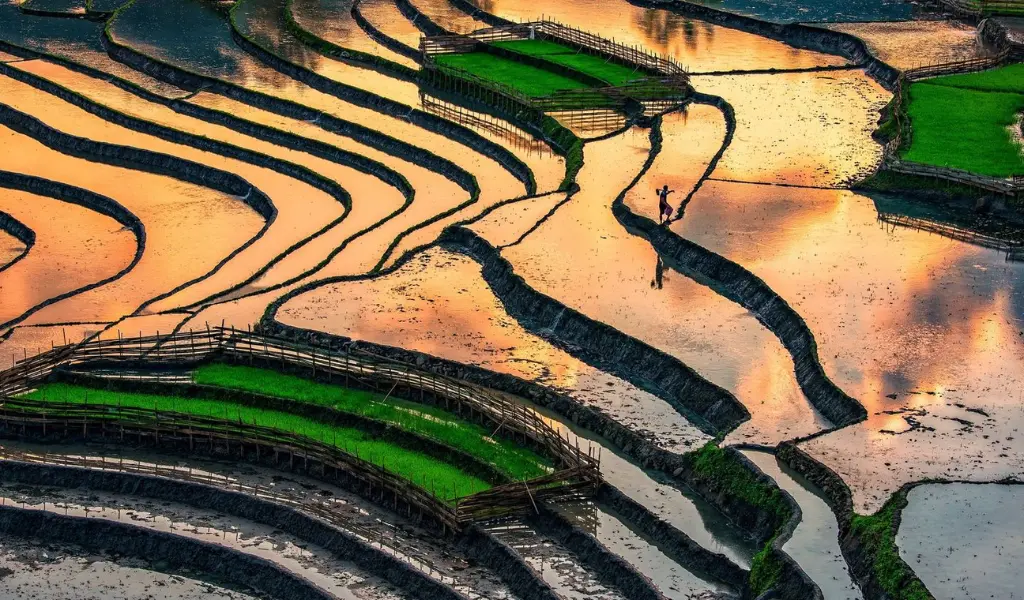Ruộng bậc thang Hoàng Su Phì tầng tầng lớp lớp giữa núi rừng kỳ vĩ