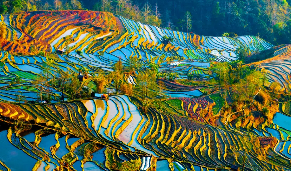 Kinh nghiệm du lịch mùa nước đổ Tây Bắc chi tiết