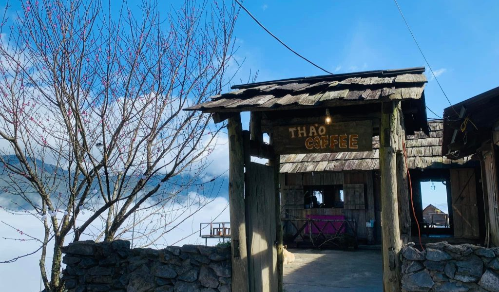 Thào Coffee Tà Xùa