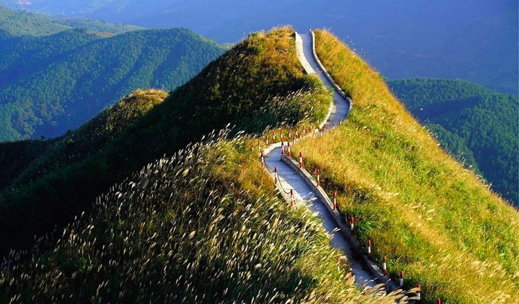 Sống lưng khủng long
