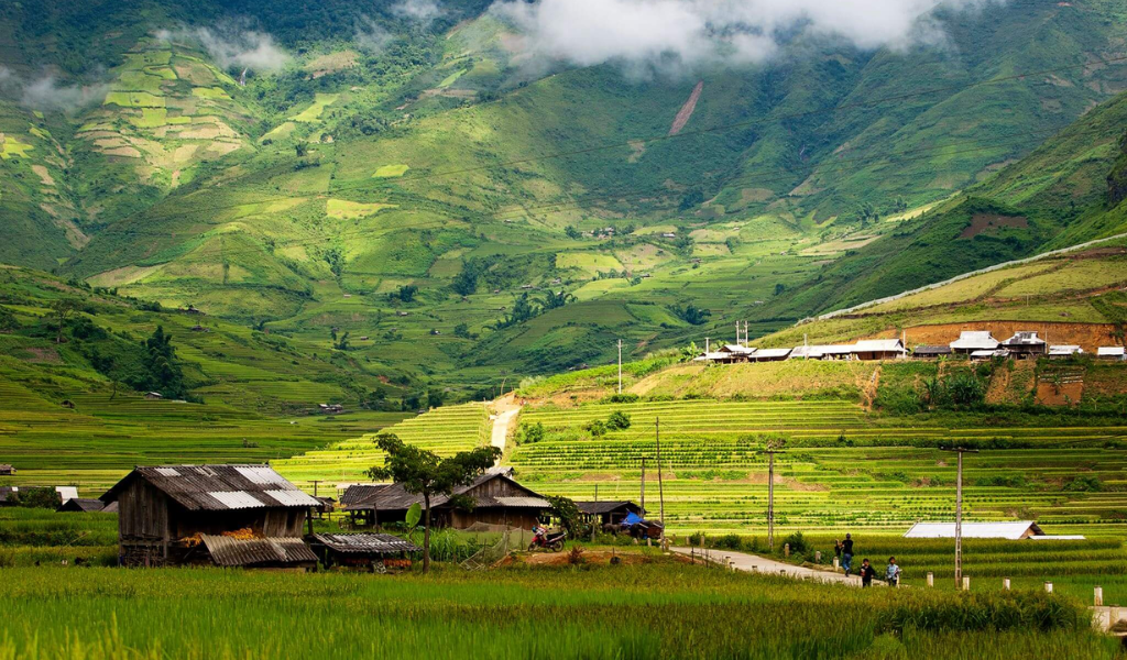 Nên đi Y Tý từ tháng 9 đến tháng 4 để ngắm lúa và săn mây