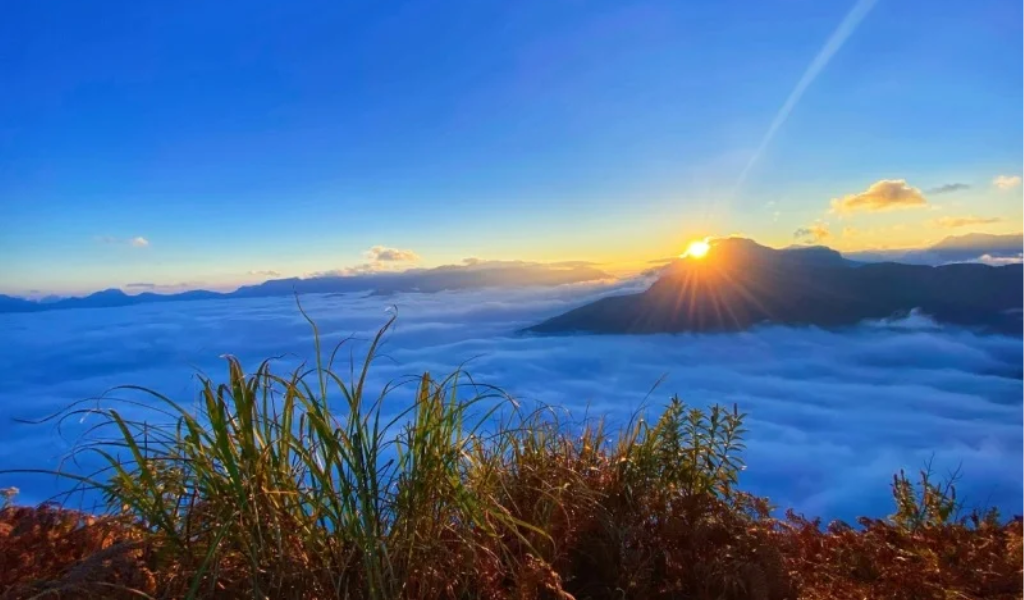 Ngải Thầu nóc nhà Y Tý và điểm săn mây lý tưởng