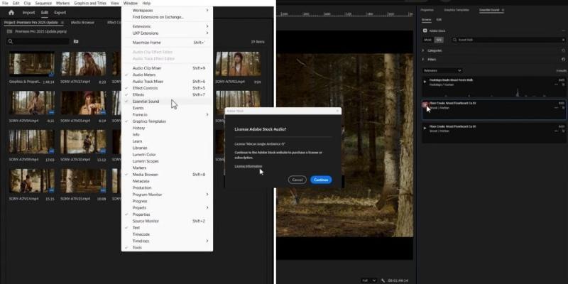 Essential Sound panel