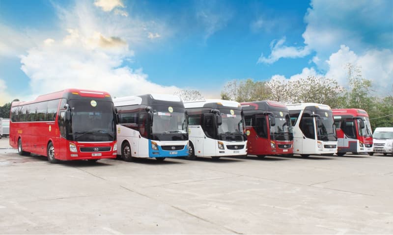 Các dòng xe phục vụ tuyến Hải Hà