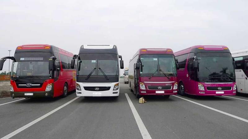 Hệ thống xe cho thuê tại thuexe247 đa dạng 